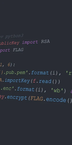 Python, RSA, Encryption, Cryptography 4K Wallpaper Background