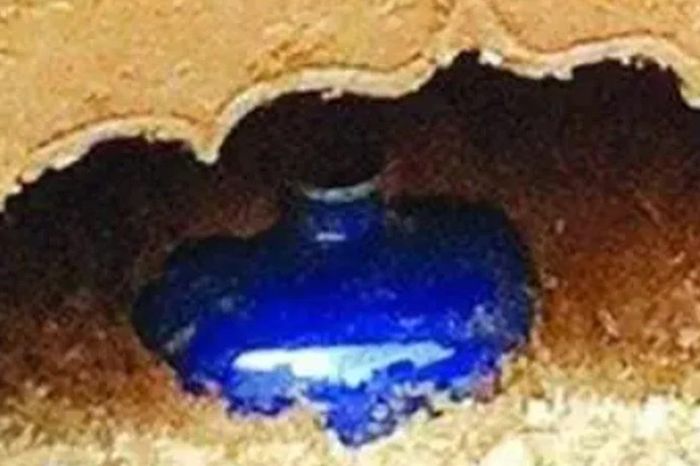 Mộ quan nhà Minh bị trộm sạch, chuyên gia vẫn tìm thấy báu vật gây choáng - Báo Tri thức &amp; Cuộc sống