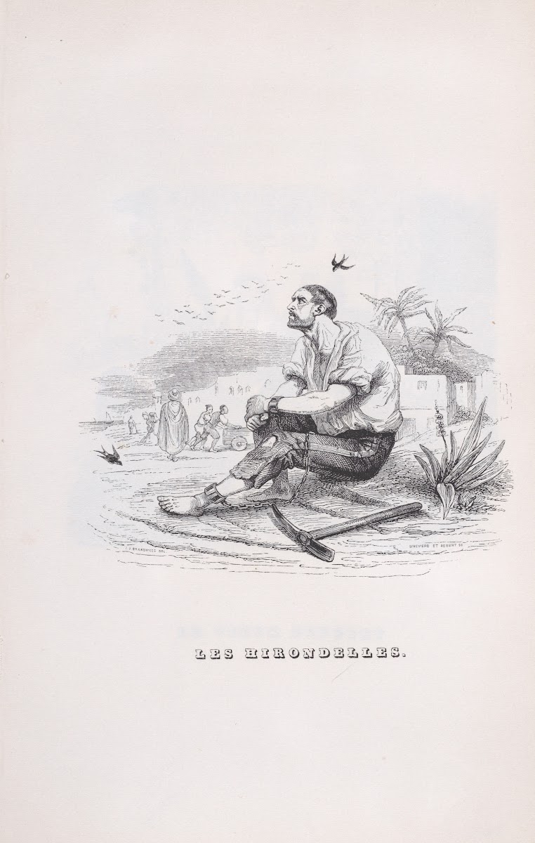 The Swallows 1836