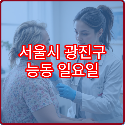 서울시 광진구 능동 일요일 정형외과 병원 안내 주말 진료 가능한 정형외과 병원