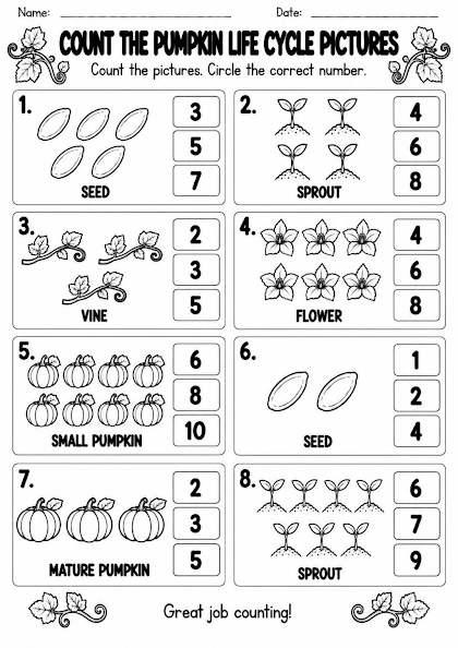 Pumpkin Life Cycle Count the Stages Worksheet