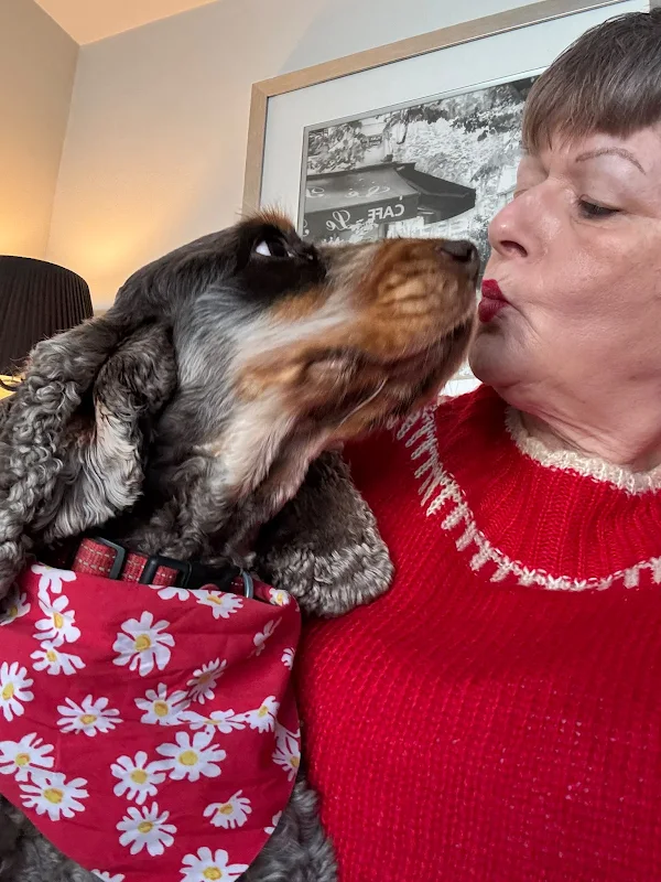 Trina getting a kiss from a spaniel in a daisy bandana