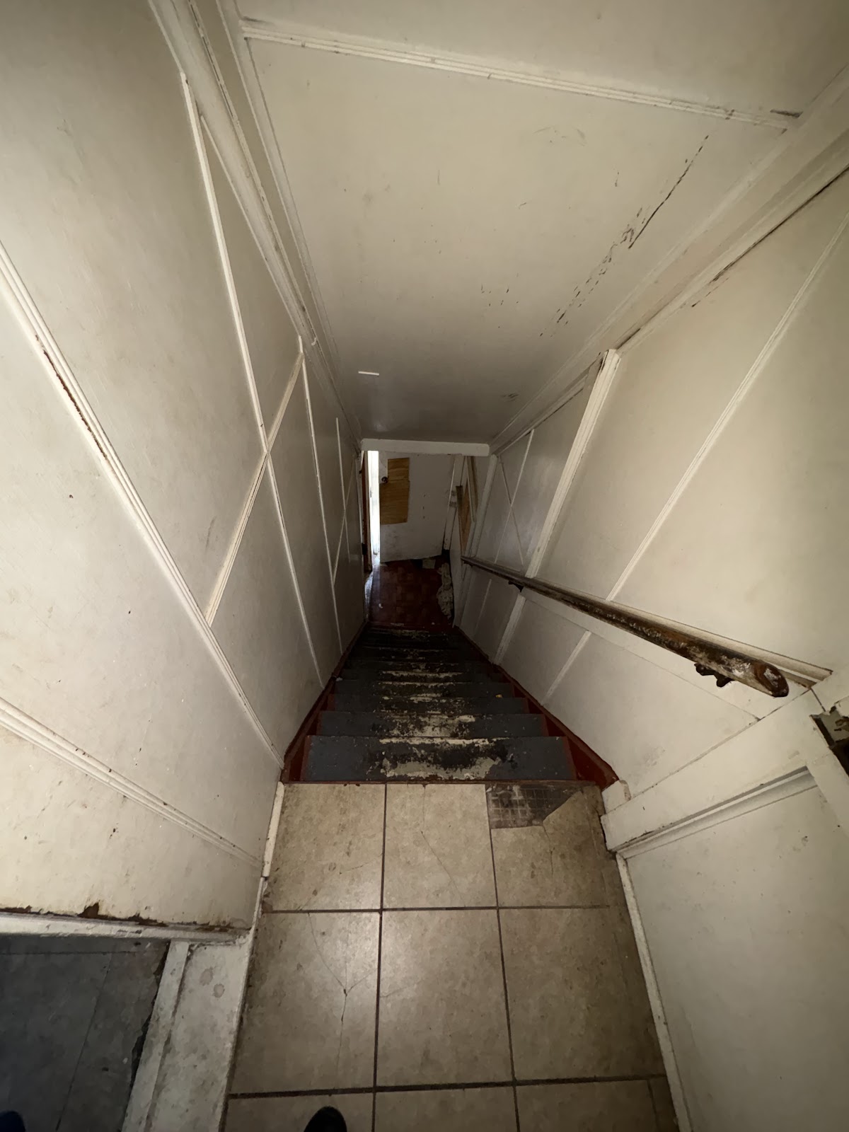 Copy of IMG_7561.HEIC