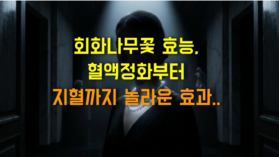 회화나무꽃 효능, 혈액정화부터 지혈까지 놀라운 효과 팩트폭격