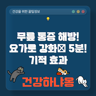 무릎 강화 요가, 무릎 관절 요가, 요가 통증 완화, 무릎 건강, 관절 강화