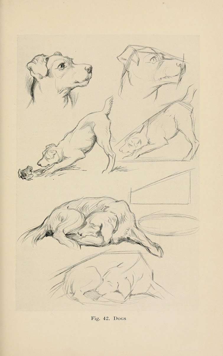 Drawing for beginners Pl20 1920s