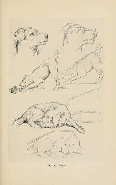 Drawing for beginners Pl20 1920s