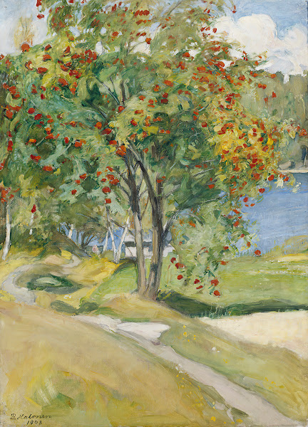 Rowan Tree 1908