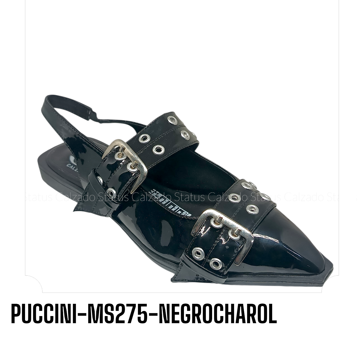 PUCCINI-MS275-NEGROCHAROL