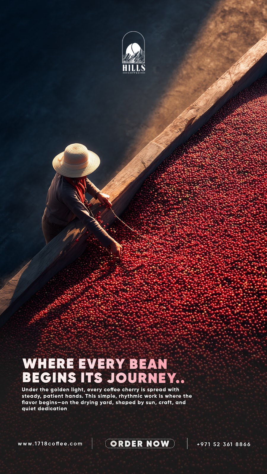 BEANS
