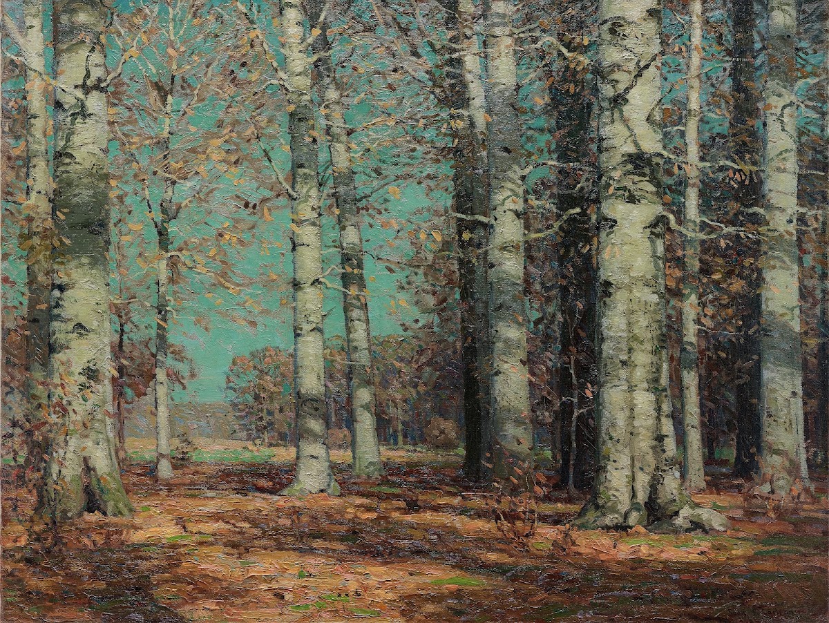 Autumn Beeches c 19081915