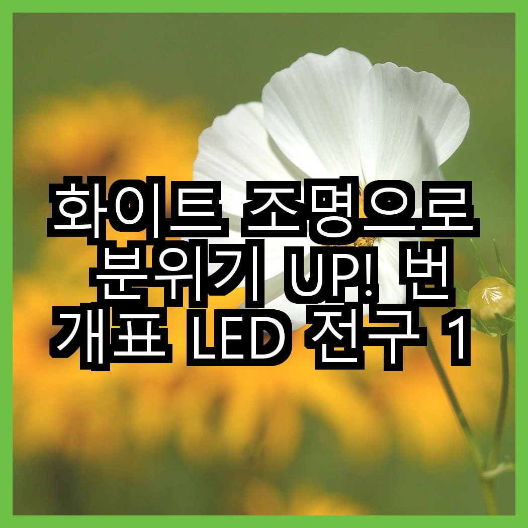 화이트 조명으로 분위기 UP! 번개표 LED 전구 12W 화이트 vs 지네전구 줄조명 100구, 어떤 선택이 더 빛날까? 썸네일