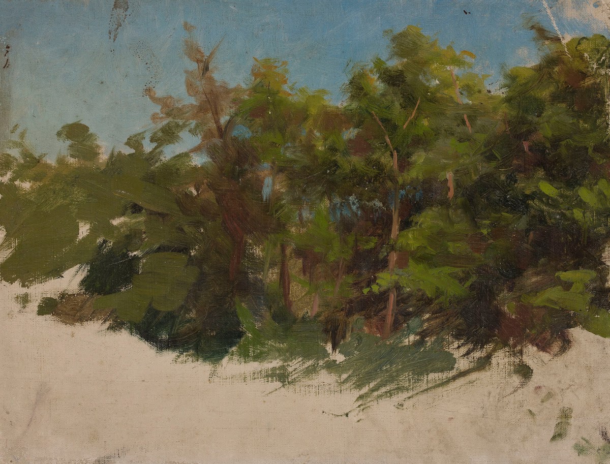 Study from Podolia 1881