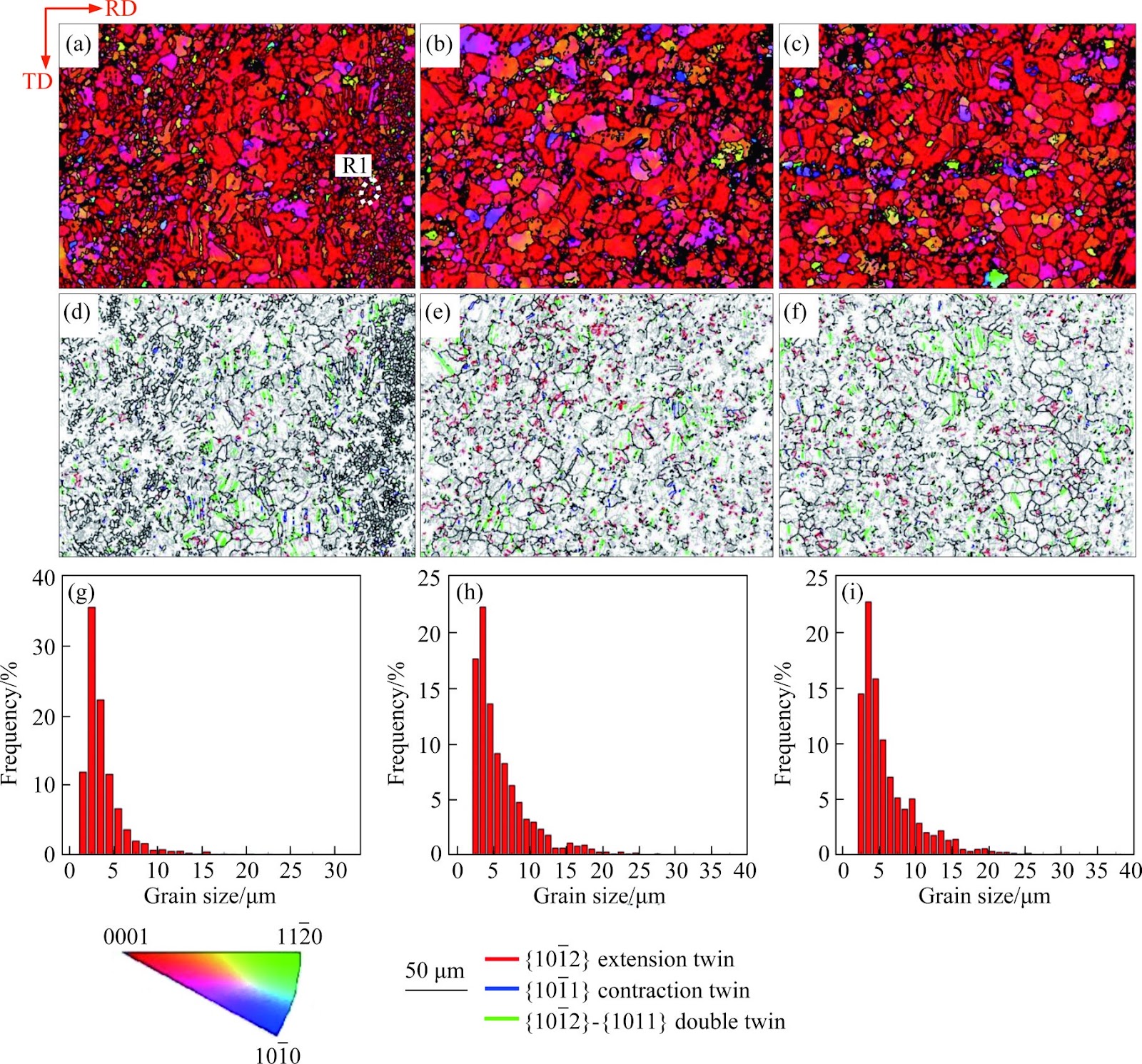 Effect of rolling passes on AZ31 Mg alloy subjected to cross-rolling and cryogenic treatment