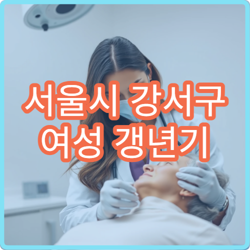 서울시 강서구 여성 갱년기 우울증 한방 호르몬 균형 한의원