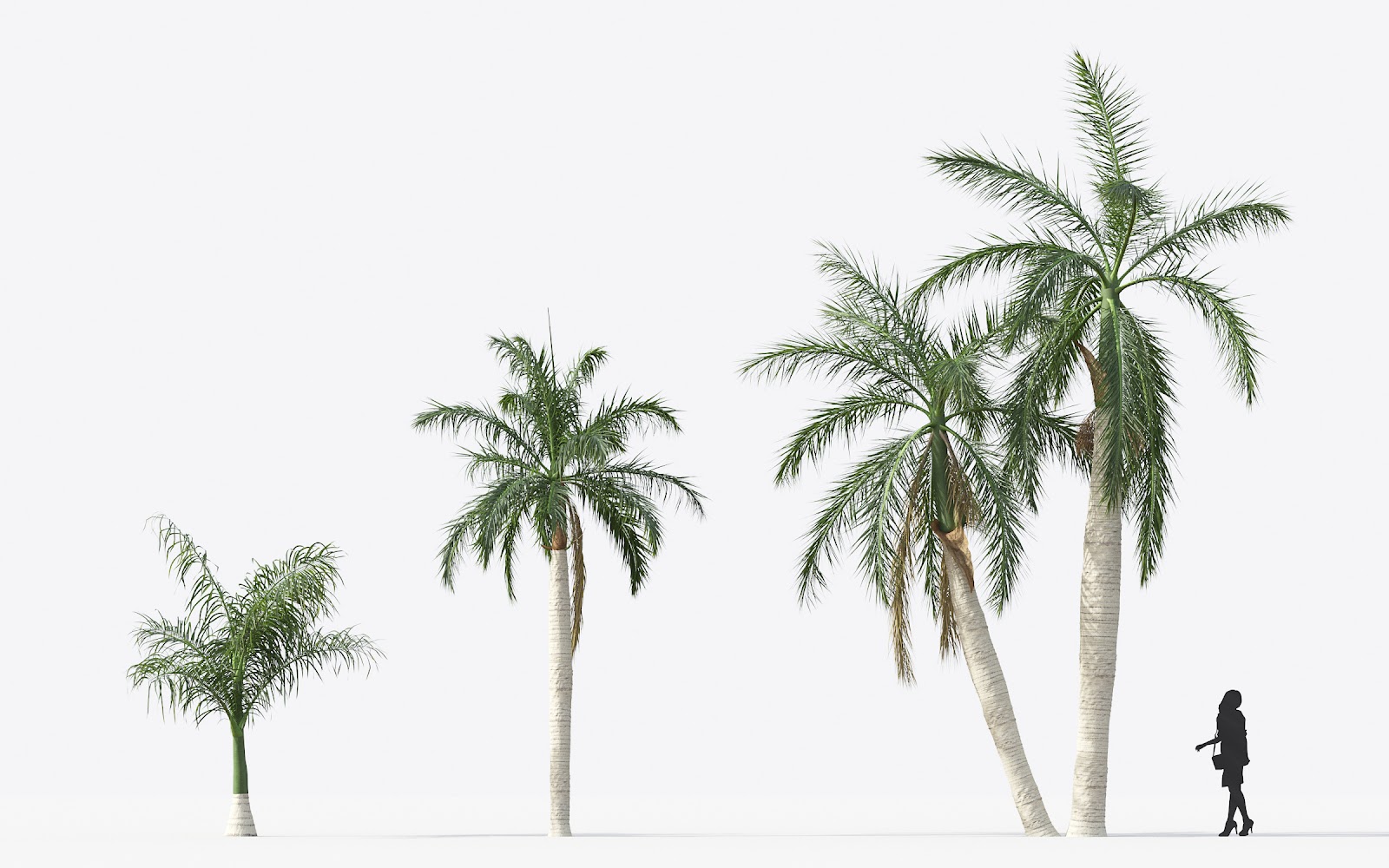 Maxtree - Plant Models Vol.15
