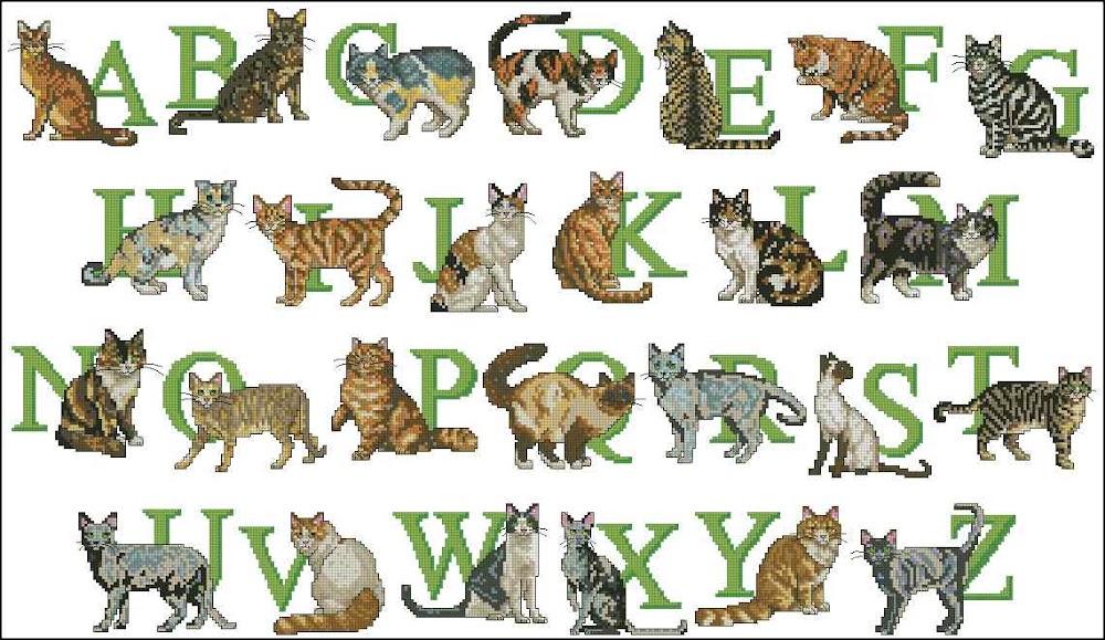 CMP 100001 Alphabet Cats
