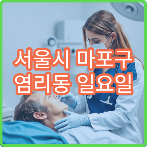 서울시 마포구 염리동 일요일 재활의학과 목통증 물리치료