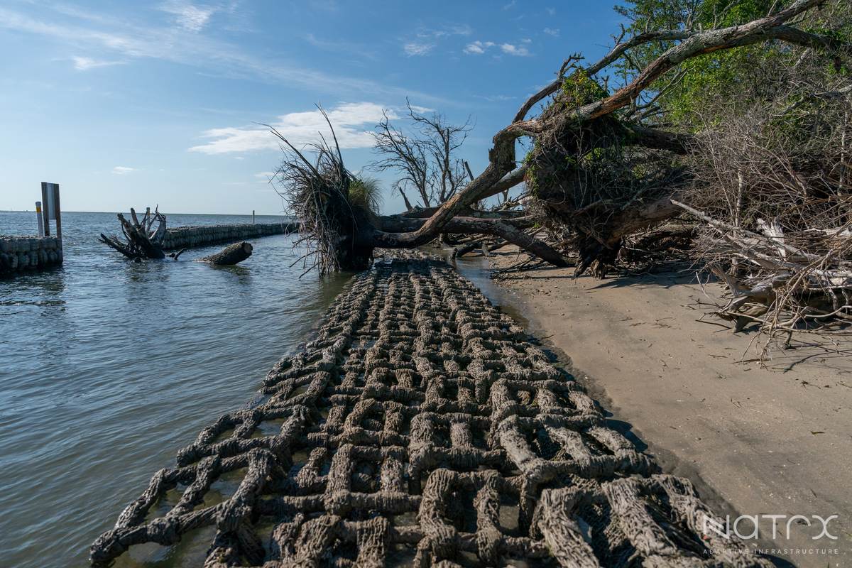 MY PRO PHOTOGRAPHER (117 of 243).jpg