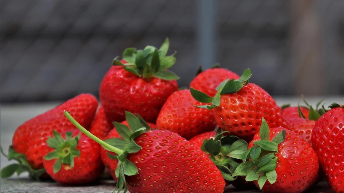 체중 감량을 돕는 건강한 간식 종류와 칼로리 관리법