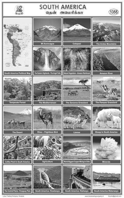 1355. South America