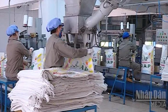 Doanh nghiệp, hiệp hội chung tay giữ nhịp sản xuất nông nghiệp - Báo Nhân Dân