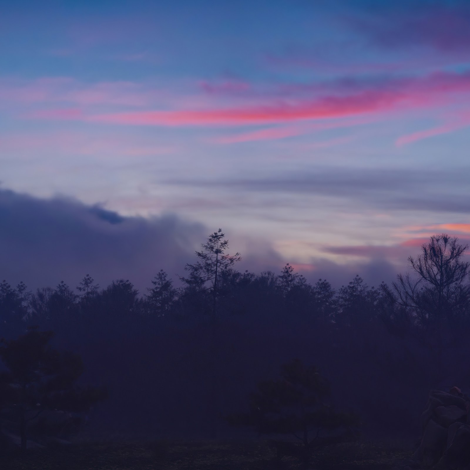 Download Mystical Landscape, Purple Glow, Dark Forest, Twilight Scene 2K iPhone