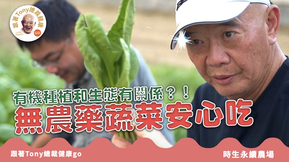 跟著Tony總裁健康go screenshot 17