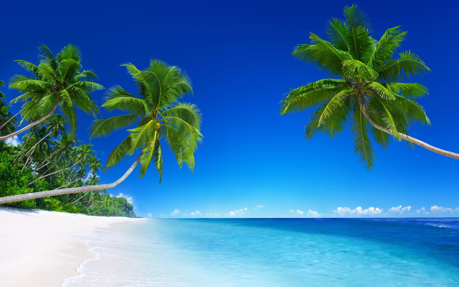 Tropical Beach Wallpaper