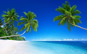 Tropical Beach Wallpaper