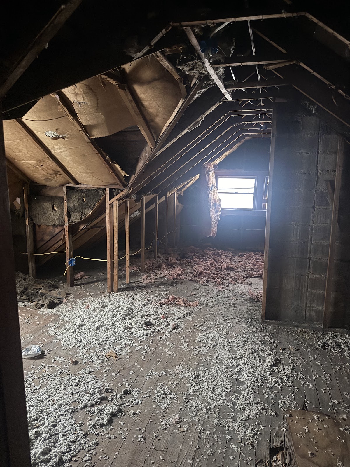 Copy of IMG_1873.HEIC