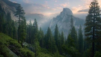 Mountain Forest Wallpaper