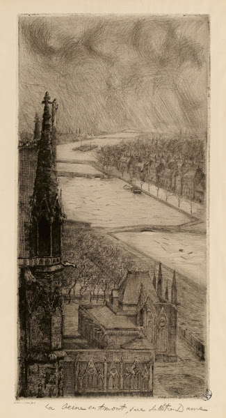 La Seine en amont vue de Notre Dame