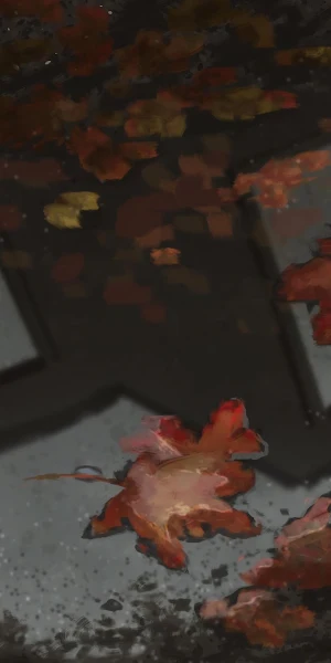 Autumn Leaves in Wet Puddle 4K Wallpaper Background