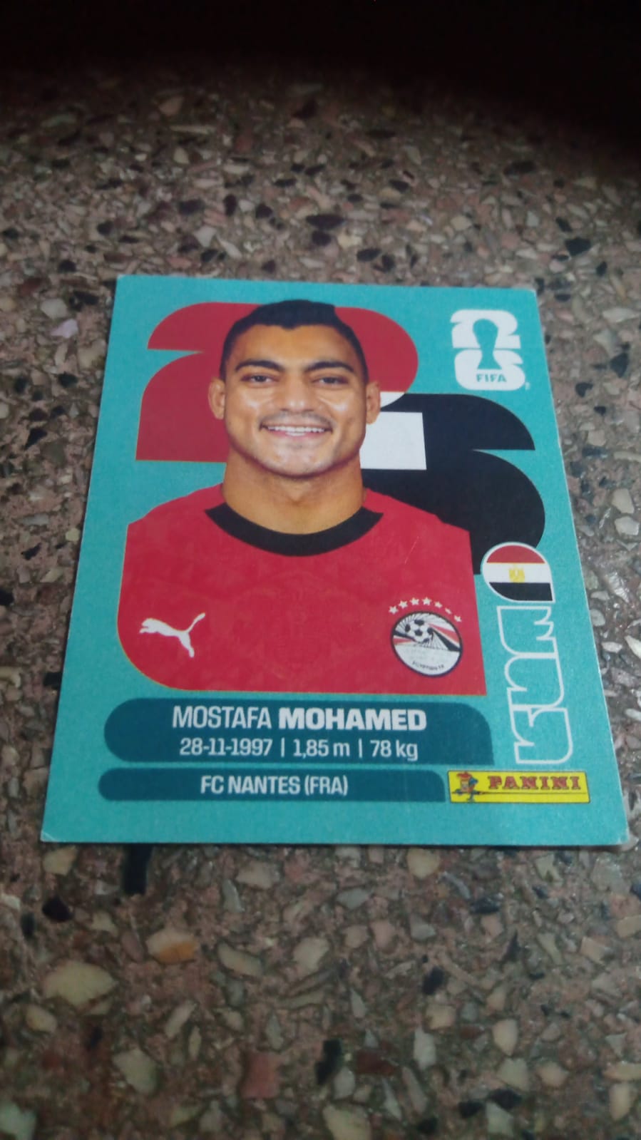 Mostafa Mohamed