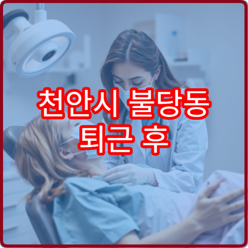 천안시 불당동 퇴근 후 진료 가능한 정형외과 야간 병원