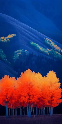 Autumn, Landscape, Trees, Mountain 2K iPhone Wallpaper Background