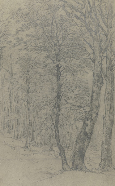 Group of trees 2