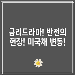 미국채 금리 초보, 채권 흐름 분석, 10년물 전문가, 금리 변동 이해, 채권 투자 학생