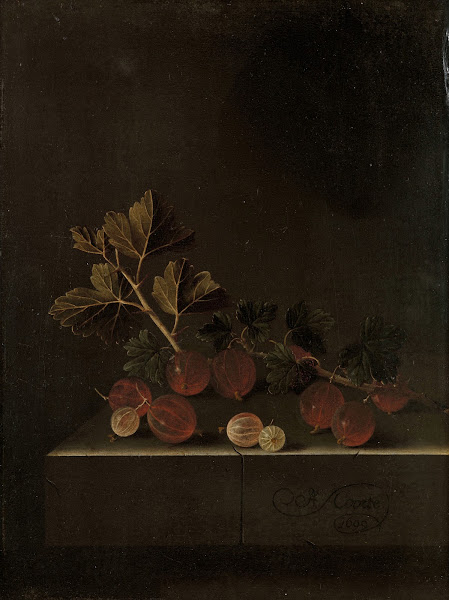 A Sprig of Gooseberries on a Stone Plinth 1699