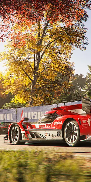 Race Car, Motorsports, Autumn, Racing 4K Wallpaper Background