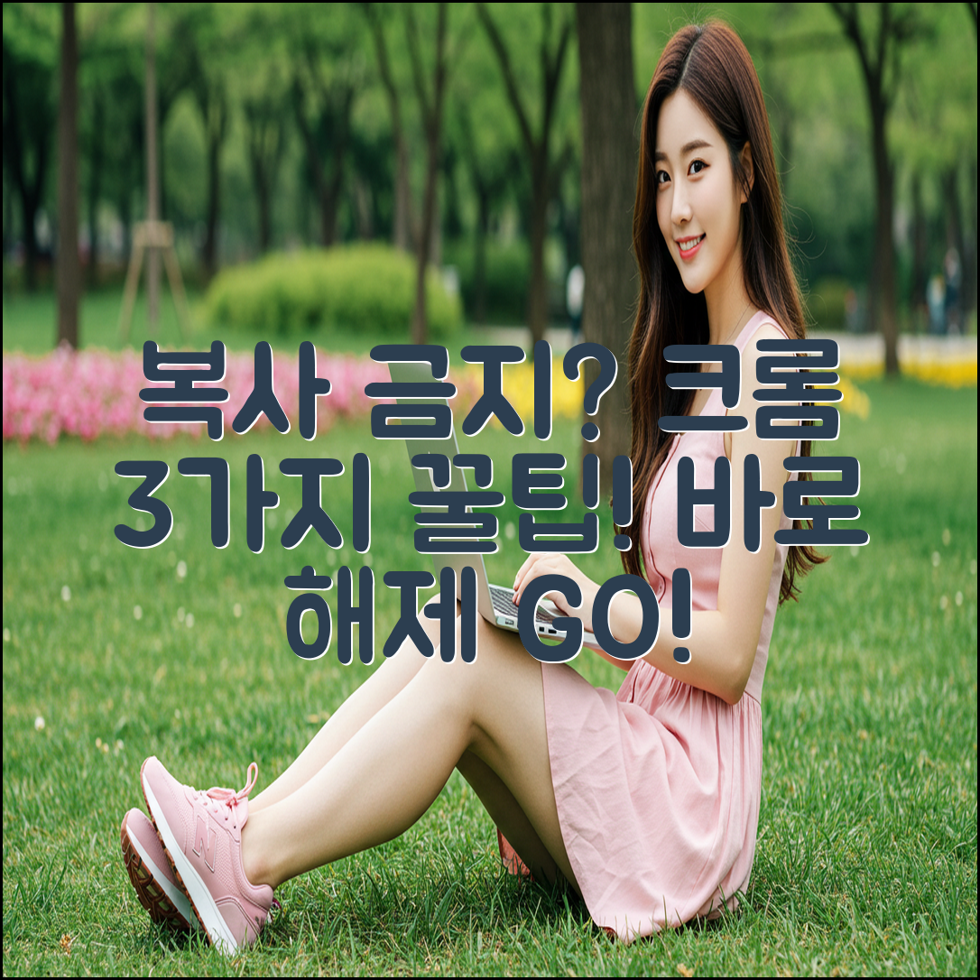 크롬 복사 금지 3가지 해제 비법