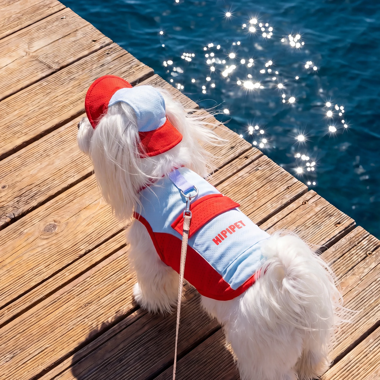 Summer Dog Shirt, Cooling, with Leash