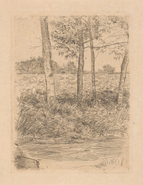 Landweg met bomen Bussum 1886
