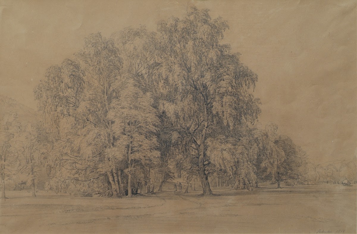Birkengruppe im Park von Schloss Seebenstein in Niederösterreich 1866