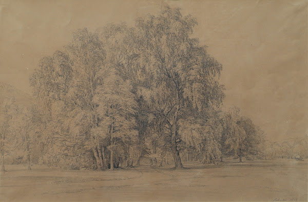Birkengruppe im Park von Schloss Seebenstein in Niederösterreich 1866