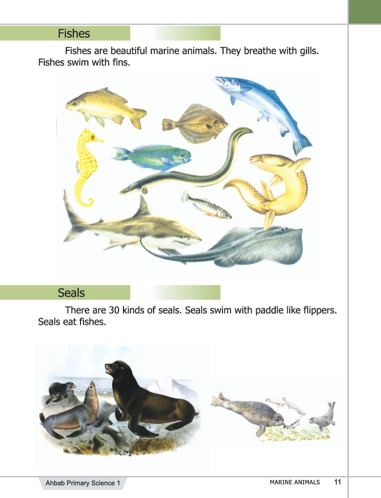 Science Book 1