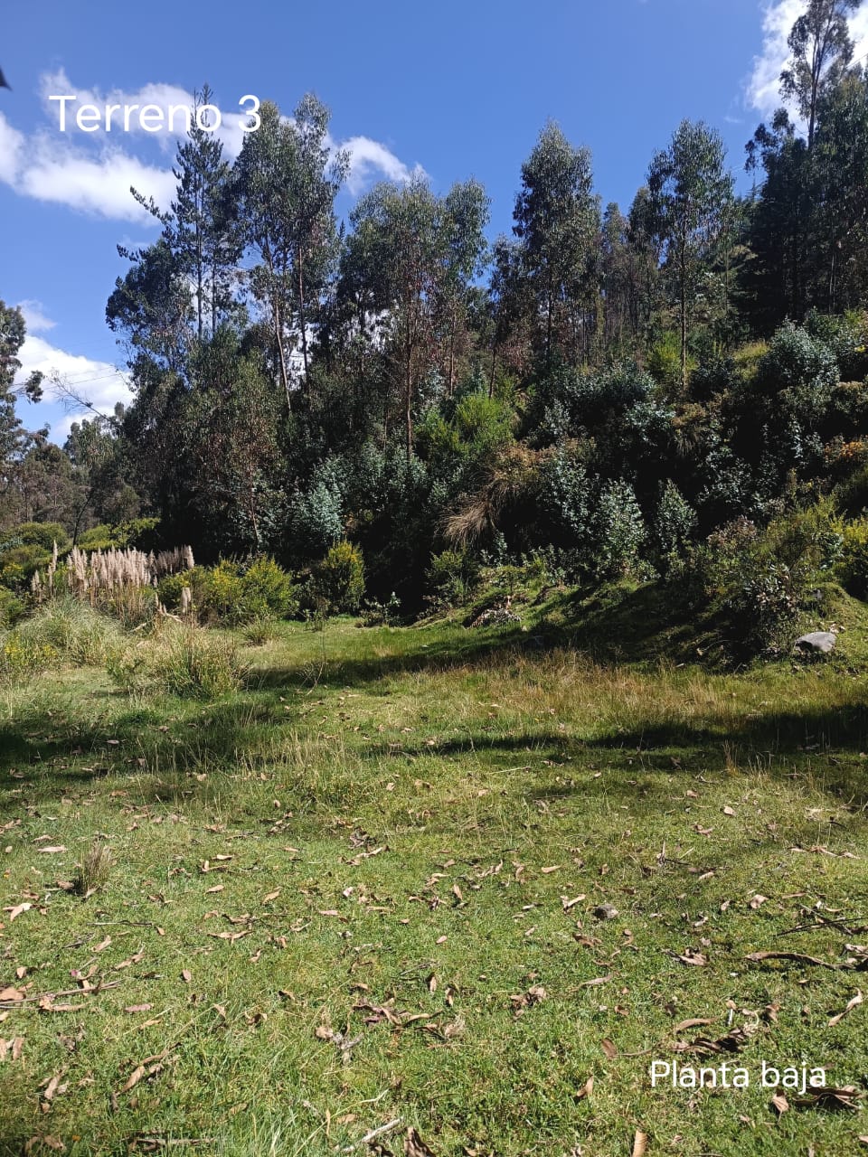 Imagen 11 de Terreno (Modal)