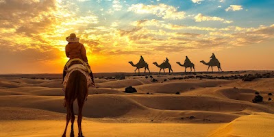 133|JAISALMER | THE GOLDEN CITY 2N