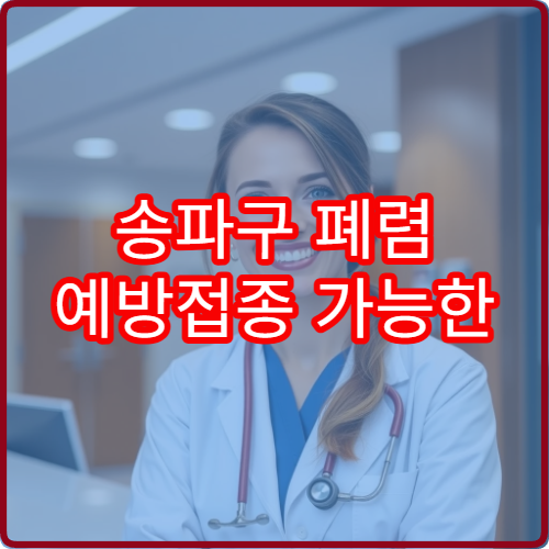 송파구 폐렴 예방접종 가능한 병원과 고위험군 접종 가이드